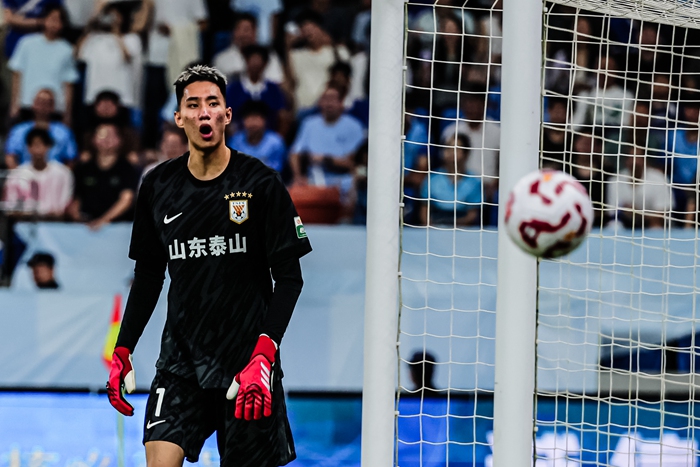 加西亚恶意, 解释, msn