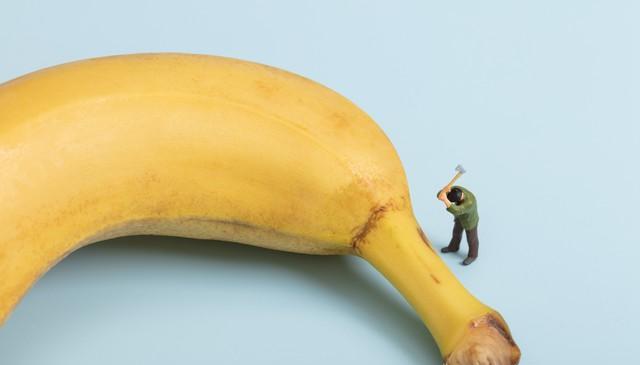 entit, 训练或比赛 entit, 训练或比赛