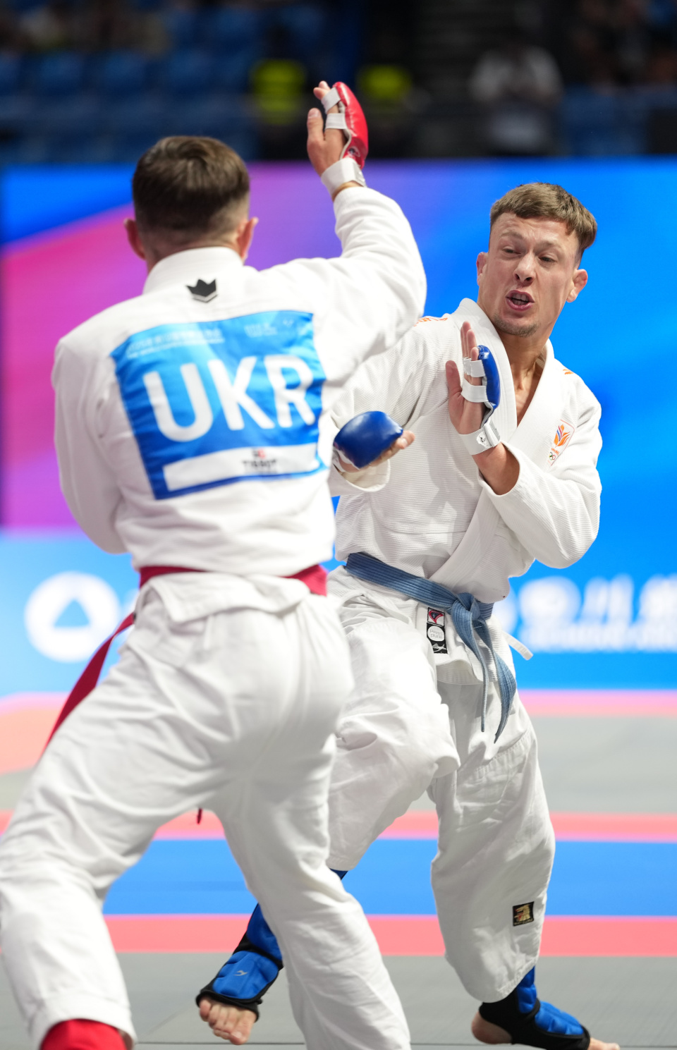 范德维尔在, 范德维尔在 范德维尔在, 范德维尔在