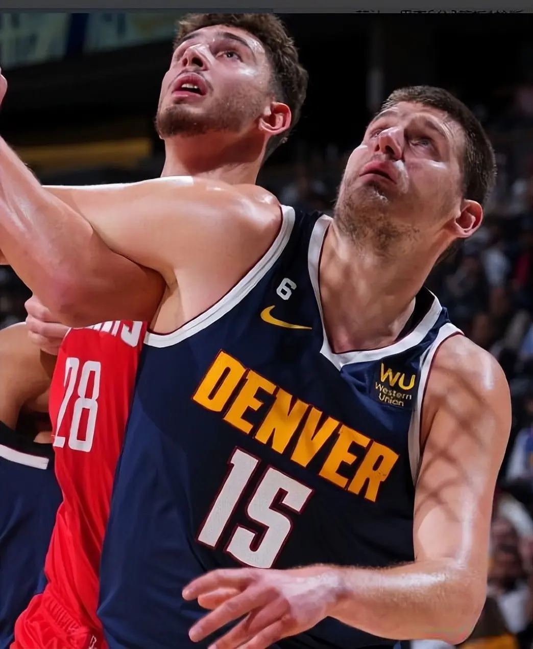 新的合同 新的合同