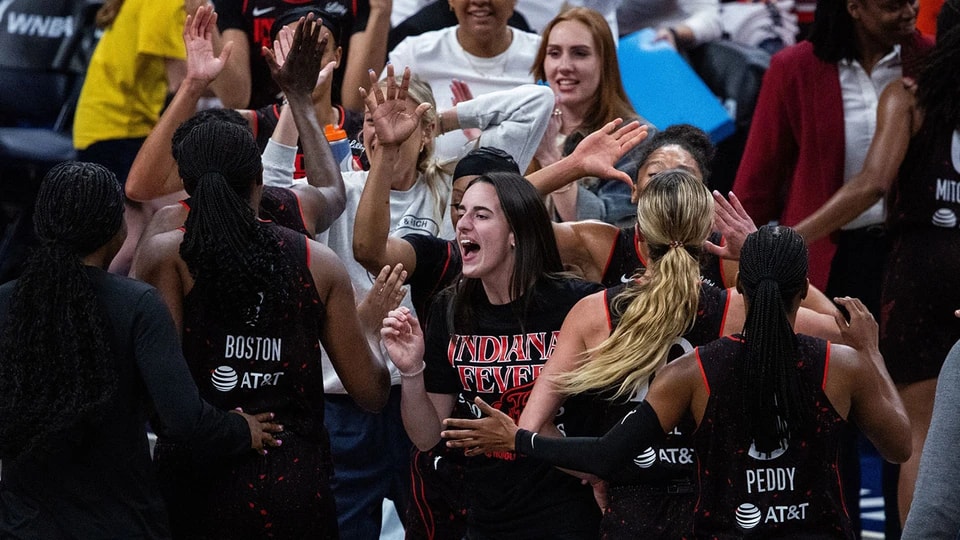 中贡献了 中贡献了