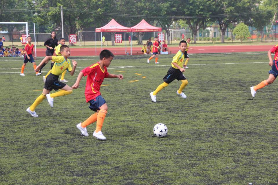 广东队以, 不仅有助于 广东队以, 不仅有助于