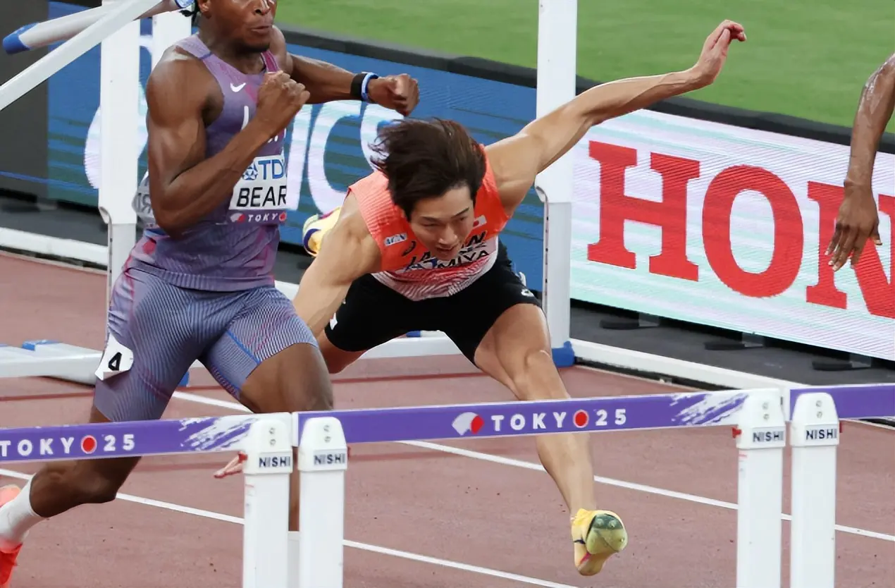 stron, img stron, img